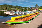 Titisee, Schwarzwald (Schwarzwald), Baden-Württemberg, Deutschland, Europa