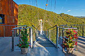 Blick auf Fußgängerbrücke, Hangloch-Wasserfall, Todtnau, Schwarzwald (Black Forest), Baden-Württemberg, Deutschland, Europa