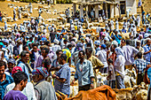 Der Montagstiermarkt von Keren, Eritrea, Afrika