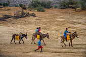 Young kids riding on donkeys to a water hole in the lowland of Eritrea, Africa