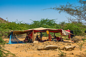 Tent of the Rashaida, an Arabic tribe, in the lowlands of Eritrea, Africa