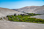 Green canyon in the dry Atacama desert, Chile, South America