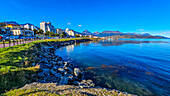 Seashore, Ushuaia, Argentina, South America