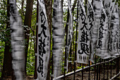 Pilgrims and views of the Kumano Hongu Shrine along the Kumano Kodo ancient pilgrimage route near Hongu, Honshu,  Japan, Asia