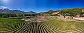 Pfade durch Blumen und Wildtiere im Mont Rochelle Nature Reserve mit Blick über das Franschhoek-Tal und Franschhoek, einer Stadt mit jahrhundertealten Weinbergen und kapholländischer Architektur, Franschhoek, Westkap, Südafrika, Afrika