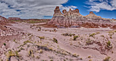 Hohe Hoodoo-Türme im Tal unterhalb von Blue Mesa im Petrified Forest National Park, Arizona, Vereinigte Staaten von Amerika, Nordamerika