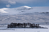 Ein zugefrorenes Loch Ba mit dem Beinn a Chreachain im Hintergrund im Winter, Rannoch Moor, Argyll und Bute, Schottische Highlands, Schottland, Vereinigtes Königreich, Europa