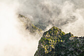 Blick von oben auf einen Berg mit trockenen kahlen Bäumen entlang des Pfades zum Pico Ruivo an einem nebligen Tag, Santana, Madeira, Portugal, Atlantik, Europa