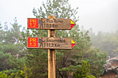 Trail signs showing directions to Pico Ruivo and Encumeada, Santana, Madeira, Portugal, Atlantic, Europe