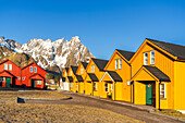 Traditionelle hölzerne und bunte Gebäude umgeben von schneebedeckten Bergen in arktischer Landschaft, Frühling, Ballstad, Vestvagoy, Lofoten, Norwegen, Skandinavien, Europa