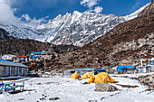 Yellow expedition tents in front of Langtan Lirung, Kyanjin Gompa, Langtang Valley trek, Himalayas, Nepal, Asia