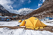 Yellow expedition tents in front of Langtan Lirung, Kyanjin Gompa, Langtang Valley trek, Himalayas, Nepal, Asia