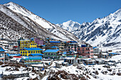 Bunte Häuser mit blauen Dächern vor den eisigen Gipfeln des Gangchempo, Kyanjin Gompa, Langtang Valley Trekking, Himalaya, Nepal, Asien