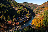 Herbstliche Wälder mit tiefblauem Katsura-Fluss und Tempeldächern am Flussufer in Arashiyama von Kyoto, Honshu, Japan, Asien