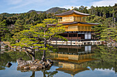 Goldener Tempel (Kinkaku-ji) (Tempel des Goldenen Pavillons), UNESCO-Welterbestätte, Kyoto, Honshu, Japan, Asien