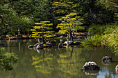 Japanese Zen garden lake Kinkaku-ji (Temple of the Golden Pavilion), UNESCO World Heritage Site, Kyoto, Honshu, Japan, Asia