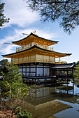 Goldener Tempel (Kinkaku-ji), der sich im umgebenden Teich spiegelt, UNESCO-Welterbe, Kyoto, Honshu, Japan, Asien