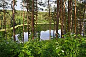 Linkmenas-See vom Ginuciai-Hügel aus gesehen, auf dem im 13. bis 15. Jahrhundert die berühmte Linknenys-Burg stand, Ginuciai, Aukstaitija-Nationalpark, Litauen,Europa