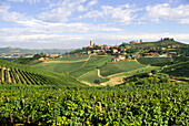 Dorf und Weinberge von Barbaresco, Provinz Cuneo, Region Piemont, Italien, Europa