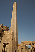 Obelisk of Thutmose I, Karnak Temple Complex, UNESCO World Heritage Site, Luxor, Egypt, North Africa, Africa