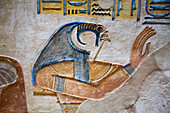 Bildnis des Gottes Horus, Flachrelief, Grabmal des Fürsten Amenherkhepshef (Amenkopshef), QV55, Tal der Königinnen, Antikes Theben, UNESCO-Welterbe, Luxor, Ägypten, Nordafrika, Afrika