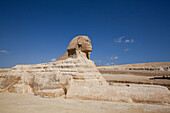 Great Sphinx of Giza, Giza Pyramid Complex, UNESCO World Heritage Site, Giza, Egypt, North Africa, Africa