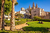 Blick auf die Kathedrale-BasA?lica de Santa MarA?a de Mallorca vom Seo-Garten aus, Palma de Mallorca, Mallorca, Balearen, Spanien, Mittelmeer, Europa