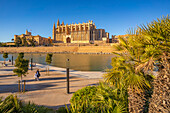 Blick auf die Kathedrale-BasA?lica de Santa Maria de Mallorca vom Passeig MarA?time, Palma de Mallorca, Mallorca, Balearen, Spanien, Mittelmeer, Europa