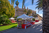 Blick auf die Kathedrale-BasA?lica de Santa Maria de Mallorca vom Passeig MarA?time, Palma de Mallorca, Mallorca, Balearische Inseln, Spanien, Mittelmeer, Europa