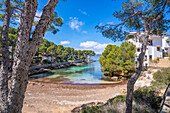 Blick auf den Strand Es Calo d'en Pellicer in Santa Ponsa, Mallorca, Balearen, Spanien, Mittelmeer, Europa