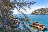 View of villas overlooking the sea at Port d'Andratx, Majorca, Balearic Islands, Spain, Mediterranean, Europe