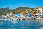 View of marina at Port d'Andratx, Majorca, Balearic Islands, Spain, Mediterranean, Europe