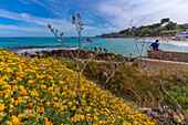 View of seaside resort of Cala Rajada, Majorca, Balearic Islands, Spain, Mediterranean, Europe