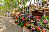 Blick auf einen Blumenstand und ein Café auf der von Bäumen gesäumten La Rambla in Palma, Palma de Mallorca, Mallorca, Balearen, Spanien, Mittelmeer, Europa