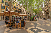 View of cafe on tree lined La Rambla in Palma, Palma de Mallorca, Majorca, Balearic Islands, Spain, Mediterranean, Europe