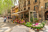 Blick auf Blumenstand und Café auf der von Bäumen gesäumten La Rambla in Palma, Palma de Mallorca, Mallorca, Balearen, Spanien, Mittelmeer, Europa