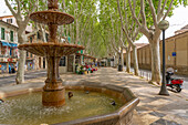 Blick auf Blumenstand und Springbrunnen auf der von Bäumen gesäumten La Rambla in Palma, Palma de Mallorca, Mallorca, Balearen, Spanien, Mittelmeer, Europa