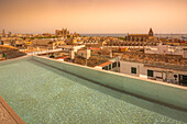 View of Catedral-BasA?lica de Santa MarA?a de Mallorca and rooftop pool, Palma de Mallorca, Majorca, Balearic Islands, Spain, Mediterranean, Europe