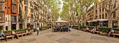 View of Paseo del Borne, Palma de Mallorca, Majorca, Balearic Islands, Spain, Mediterranean, Europe