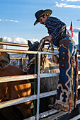 A saddle bronc cowboy Logan Nunn puts his bronc rein & halter on the bucking horse in the chute at a rodeo in rural Utah.