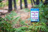 A signpost marking the Camino Viejo de Galaroza to Fuenteheridos trail in Huelva, Andalusia, Spain surrounded by lush greenery.