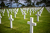 Rows of white crosses at the American military cemetery in Normandy, France, commemorating fallen soldiers from World War II.