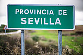 Grünes Straßenschild mit dem Hinweis auf die Provinz Sevilla in einer ländlichen Gegend Spaniens. Das Schild ist von wildem Gras umgeben.