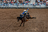 A slow shutter speed emphasizes the blur of a professional rodeo cowboy in the saddle bronc event in a rodeo in Utah.