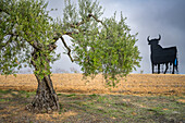 Scenic view of an olive tree and the iconic Osborne bull in the province of Sevilla, Spain.