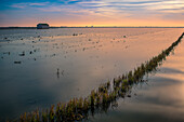 Beautiful sunrise over the tranquil rice fields of Isla Mayor in Sevilla, Spain. Serenity and natural beauty of the wetlands at dawn.