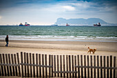 Scenic view of El Rinconcillo beach in Algeciras, Spain with Gibraltar in the background. A person and a dog walk on the sandy shore.