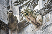 Nahaufnahme eines Wasserspeiers an der Kathedrale Saint Corentin in Quimper, Bretagne, Frankreich. Die detaillierte Schnitzerei zeigt die gotische Architektur.