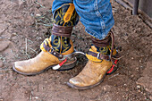 Stiefel und stumpfe Sporen eines Rodeo-Cowboys vor seinem Bareback-Bucking-Wettbewerb bei einem Rodeo in Utah.