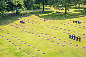 A serene aerial view of the German military cemetery located in Normandy, France, showcasing rows of gravestones and greenery.